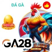 ls88 Game 12